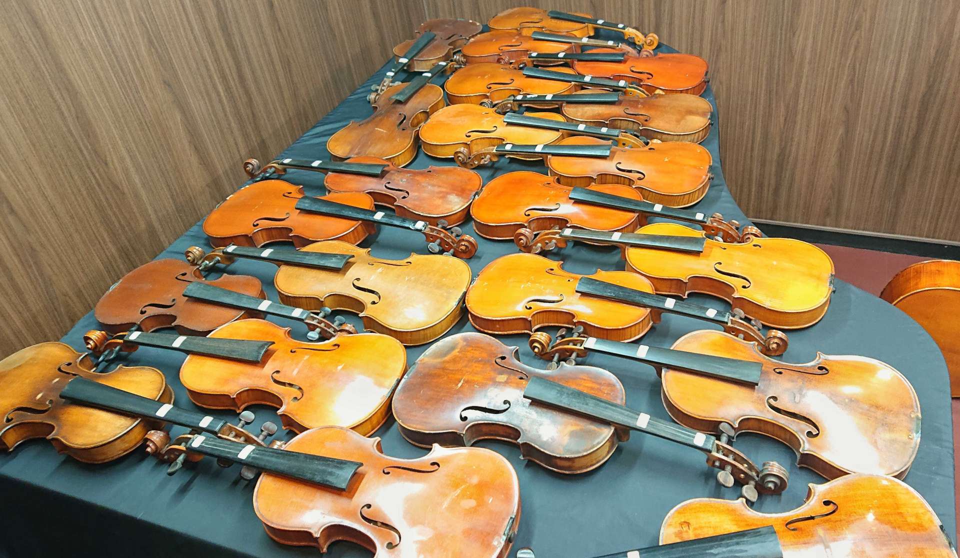 たくさんのヴァイオリンとチェロが……