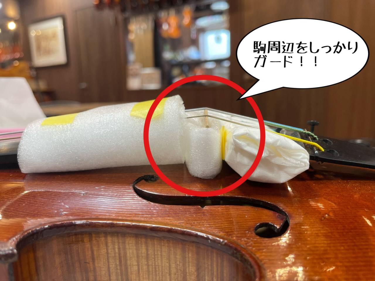 楽器を傷つけないように運ぼう🎻