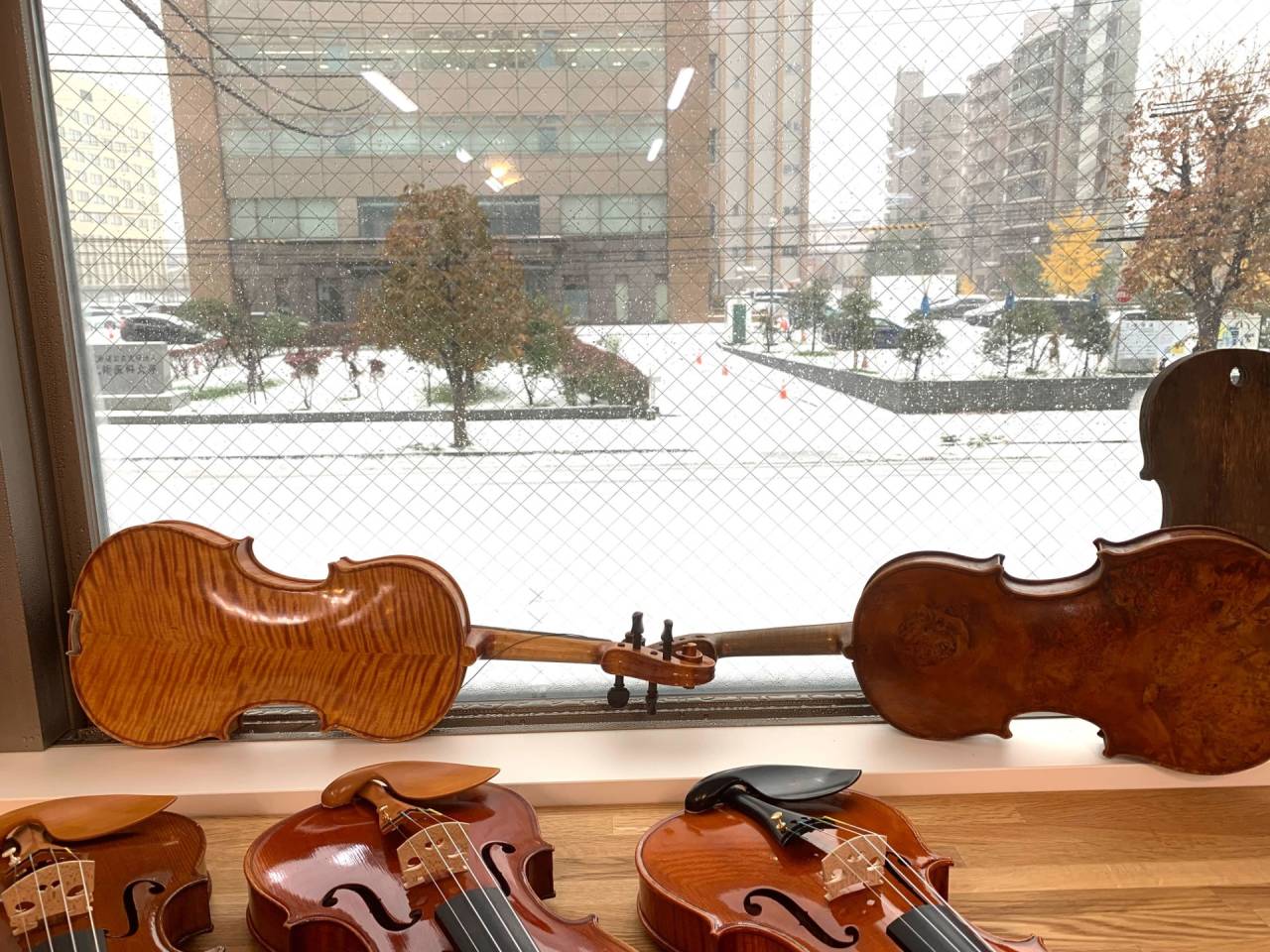 札幌展示会❄