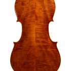 チェロ入りました！